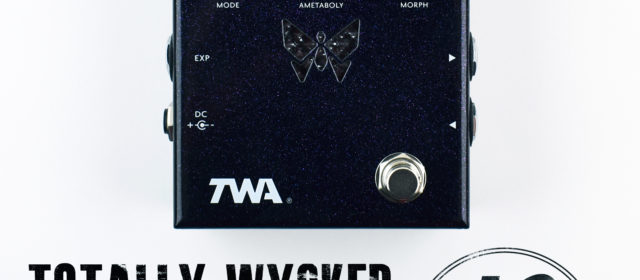 TWA DM-02 Dynamorph™ Fuzz Filter Synth