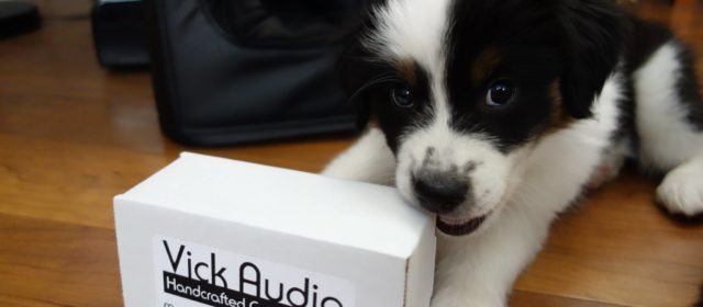 Weekly Interview 1/4/18: Michael Vickery of Vick Audio