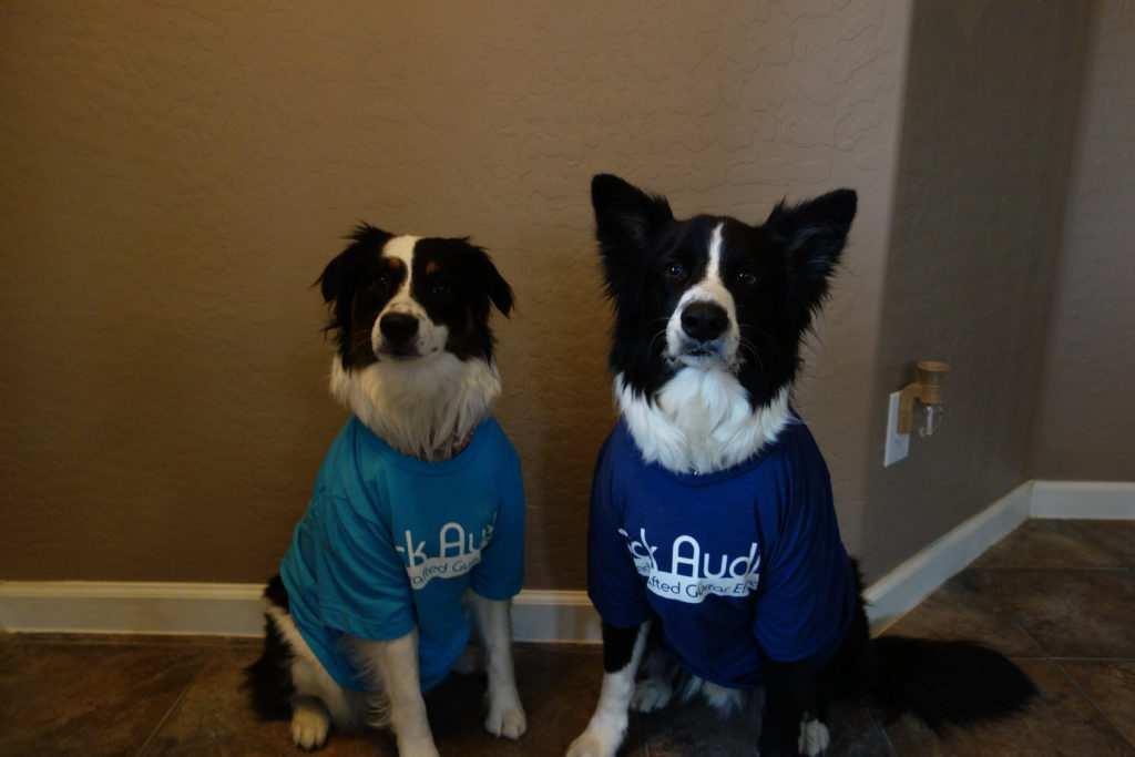 Vick Audio - Dogs In Shirts