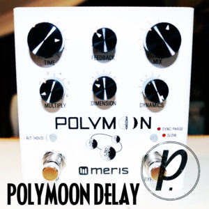 Guest Review: Meris Polymoon Delay