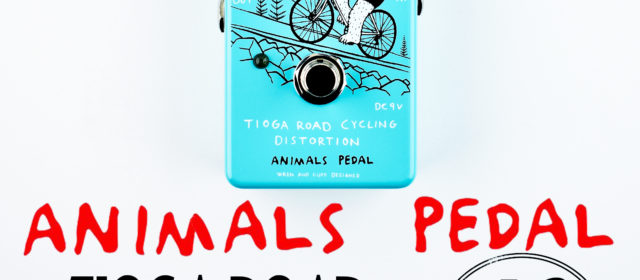 Animals Pedal Tioga Road Cycling Distortion