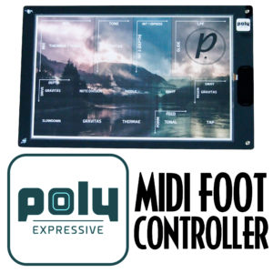 POLY Expressive MIDI Foot Controller