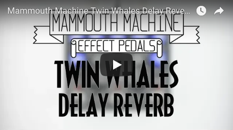 Mammouth Machine Twin Whales Delay Reverb - Pedal of the Day on YouTube