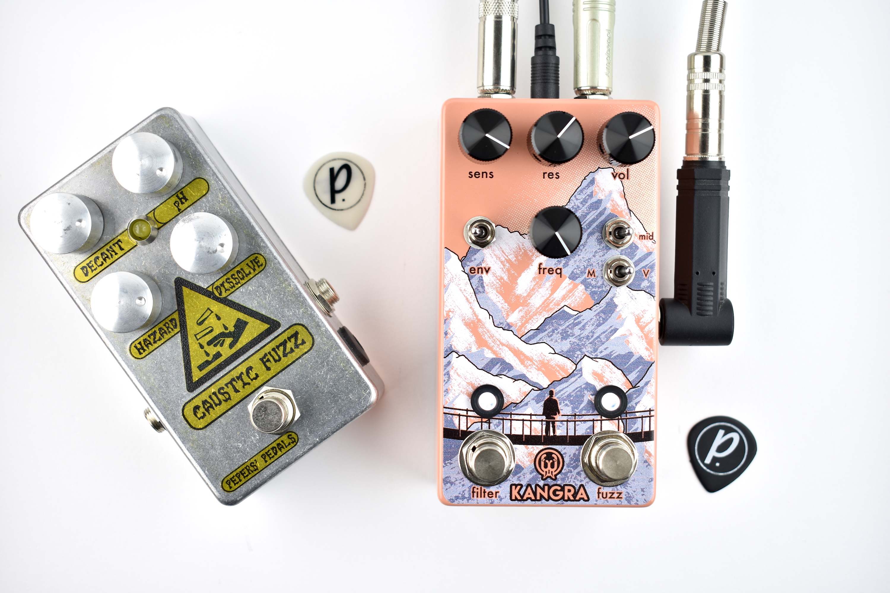 Walrus Audio Kangra Filter Fuzz Pedal of the Day
