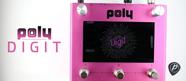 Poly Effects Digit Quad Delay Reverb