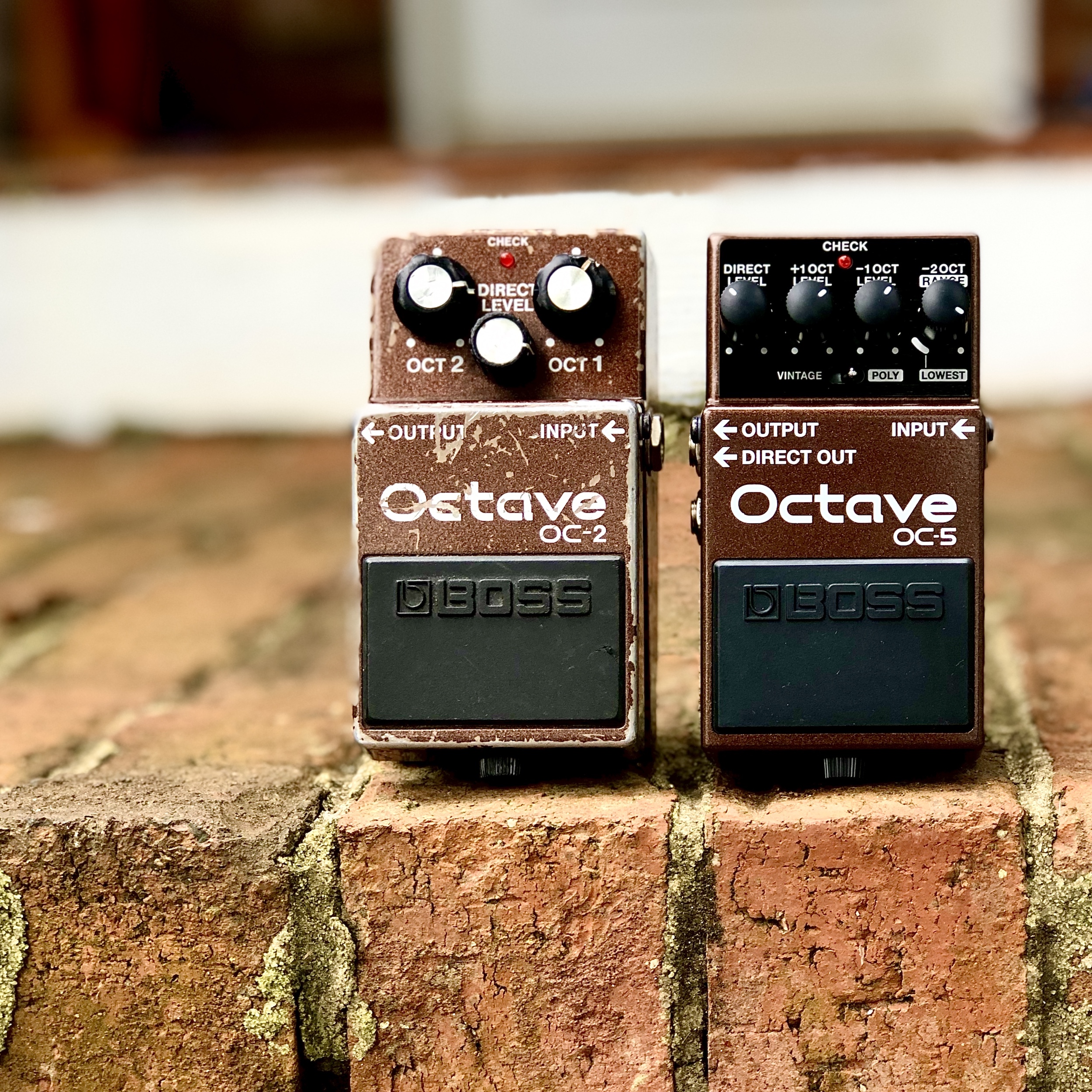 Boss OC-5 Octave Pedal of the Day