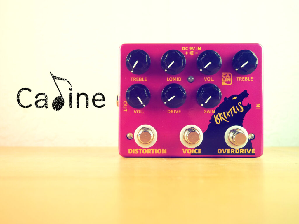 Caline DCP-02 Brutus Distortion Overdrive
