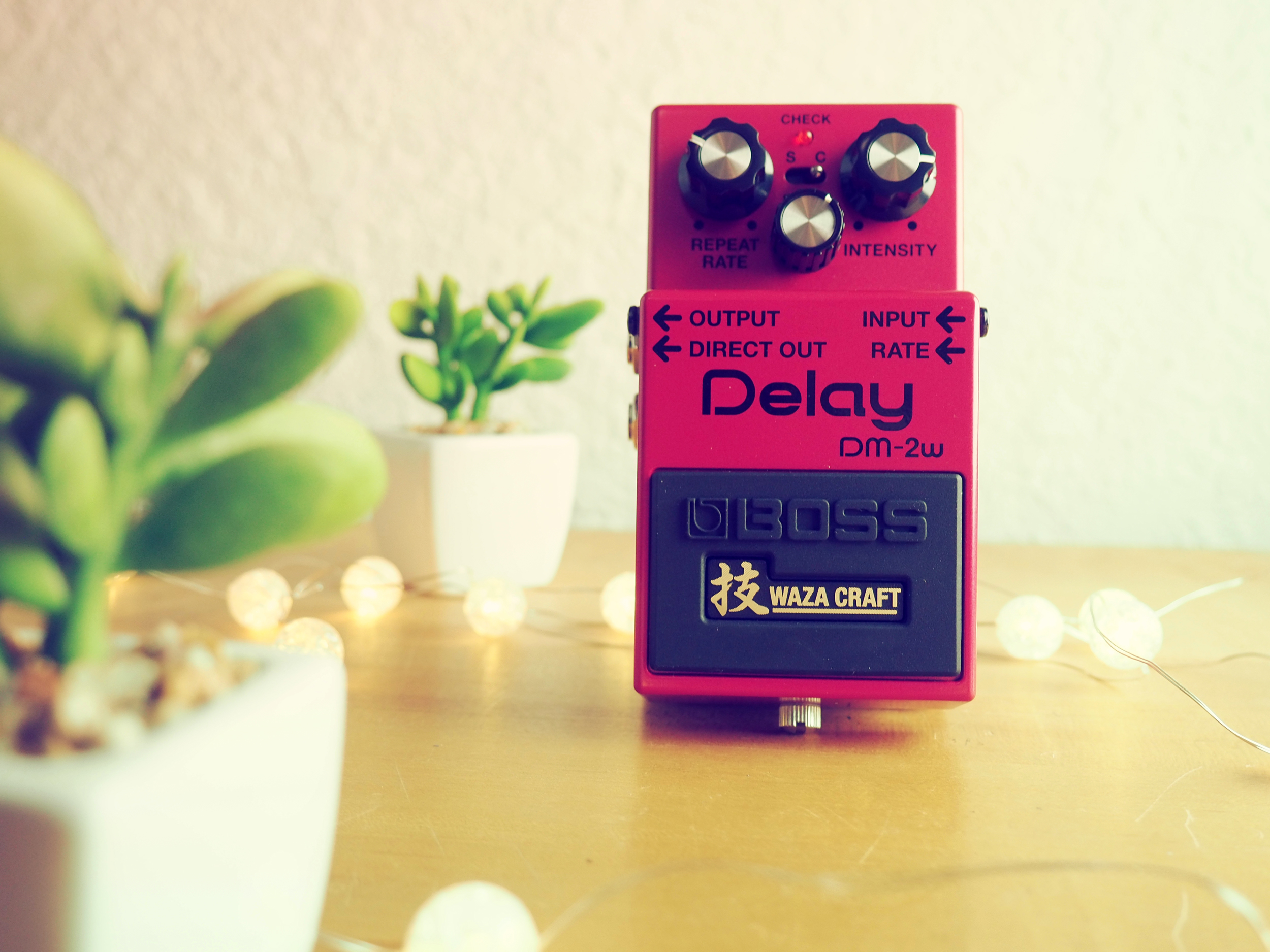 Boss DM-2W Waza Craft Delay - Pedal of the Day