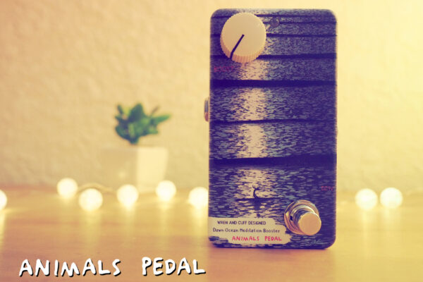 Animals Pedal Dawn Ocean Meditation Booster