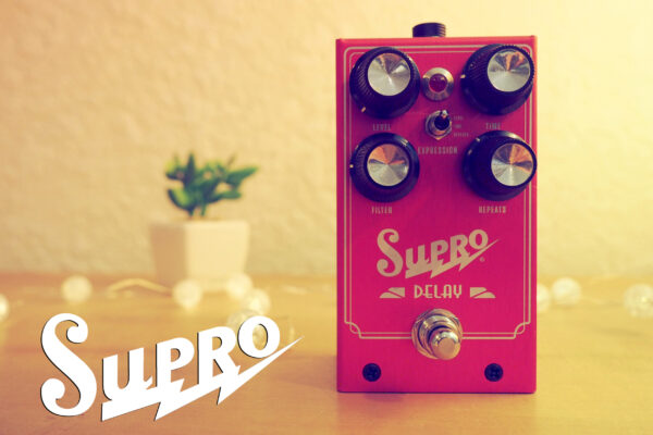 Supro Delay Hi-Fi Analog Echo