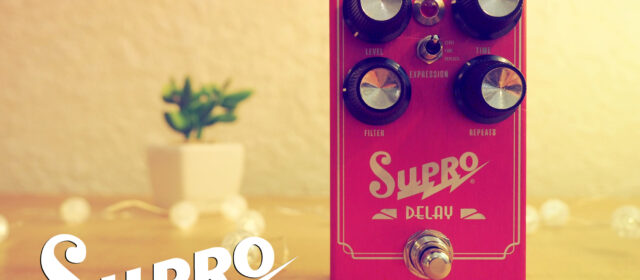 Supro Delay Hi-Fi Analog Echo