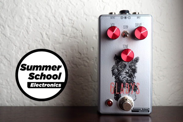 Summer School Electronics Gladys Overdrive