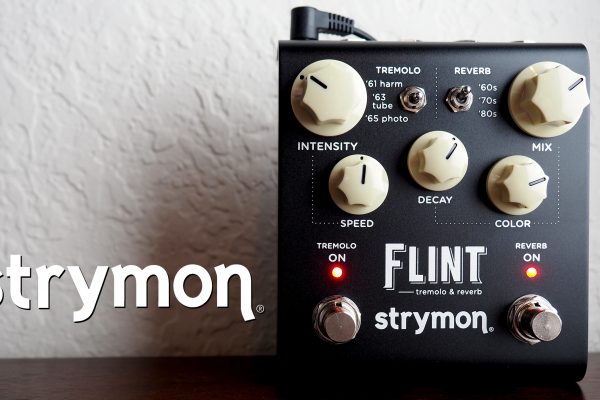 Strymon Flint Tremolo & Reverb V2