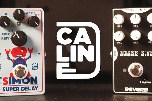 Caline CP-513 Simon Super Delay / CP-26 Snake Bite Cavernous Reverb