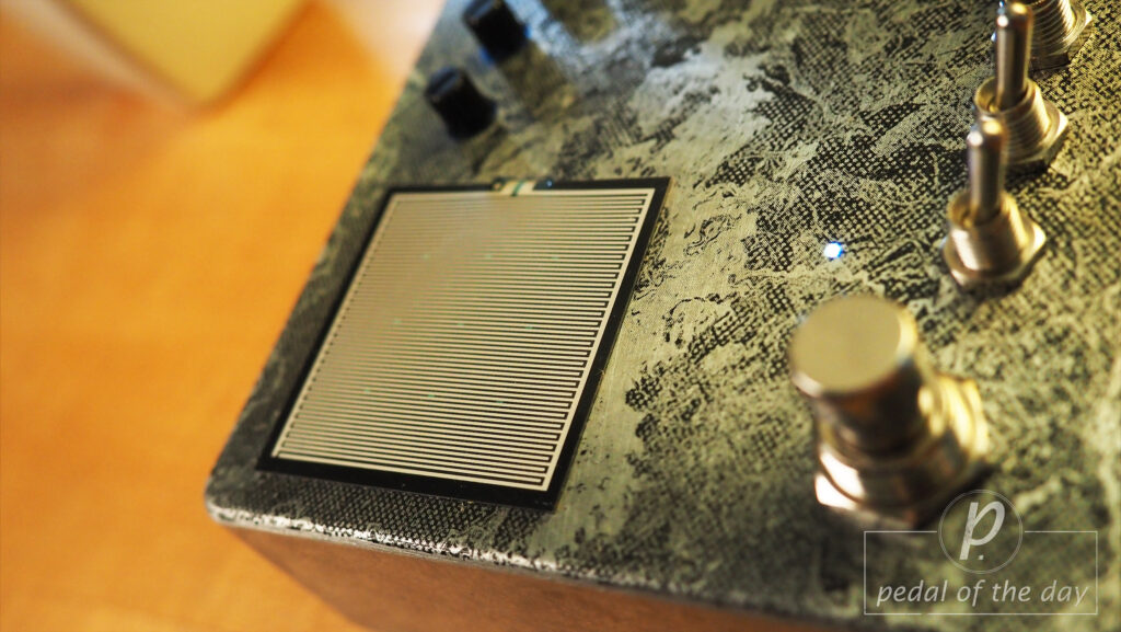 ezhi&aka Polarized Flutter + Echo 2