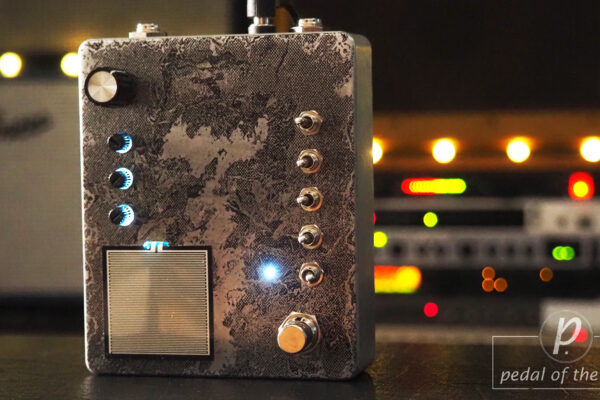 ezhi&aka Polarized Flutter + Echo