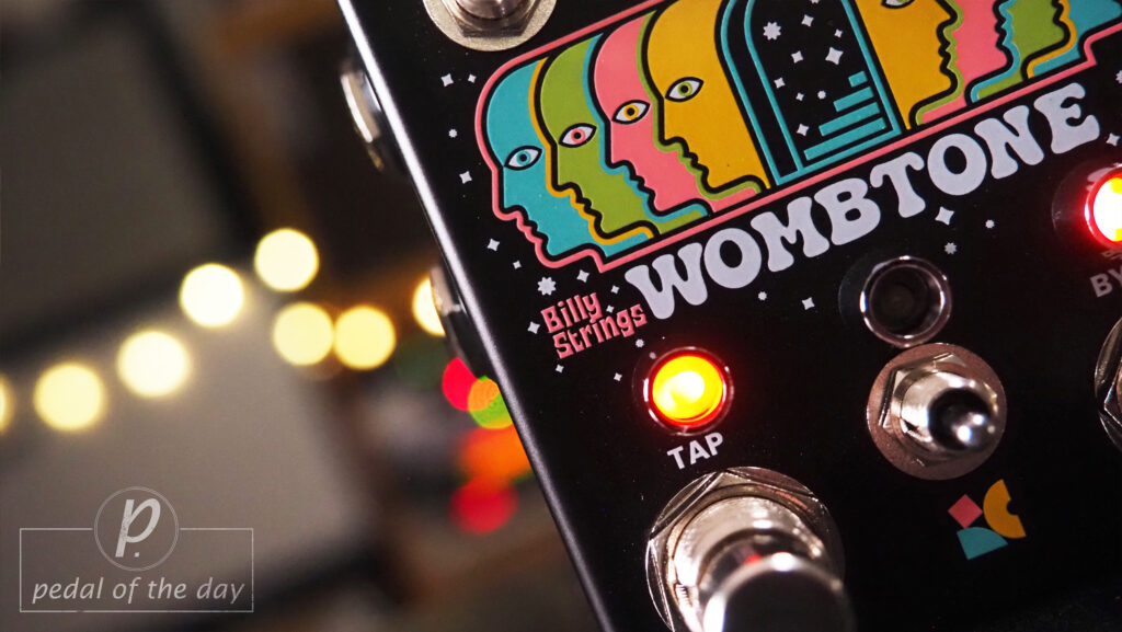 Chase Bliss Billy Strings Wombtone Analog EnveloPhaser 2