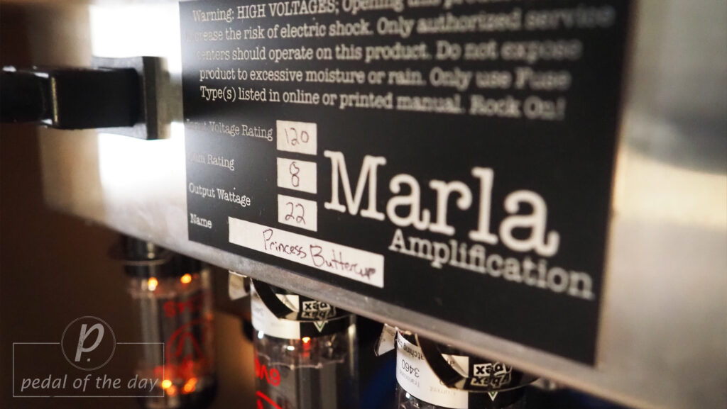 Marla Amplification S20V 2-Channel 22W Guitar Amp 5