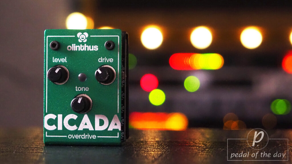 Olinthus Cicada Overdrive 1