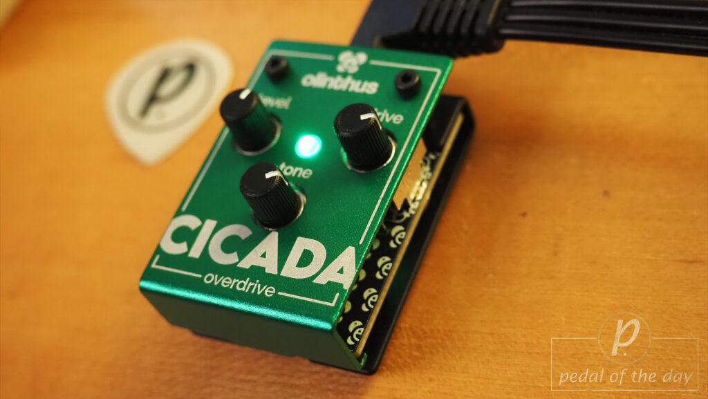 Olinthus Cicada Overdrive 2
