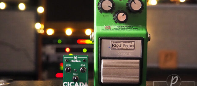 Olinthus Cicada Overdrive