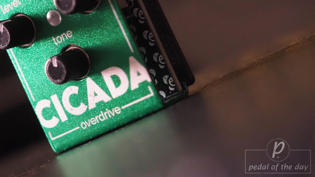 Olinthus Cicada Overdrive 4