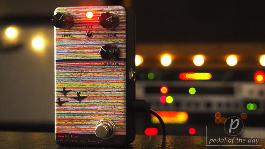 Animals Pedal In Oct,3 Foxes Talking of Dreamy Fuzz 1