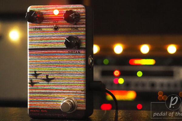 Animals Pedal In Oct,3 Foxes Talking of Dreamy Fuzz