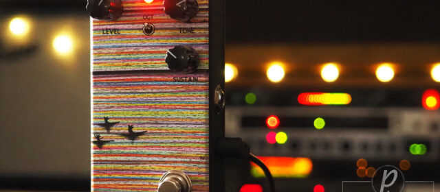 Animals Pedal In Oct,3 Foxes Talking of Dreamy Fuzz