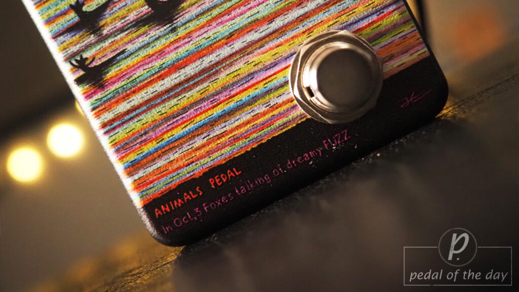 Animals Pedal In Oct,3 Foxes Talking of Dreamy Fuzz 2