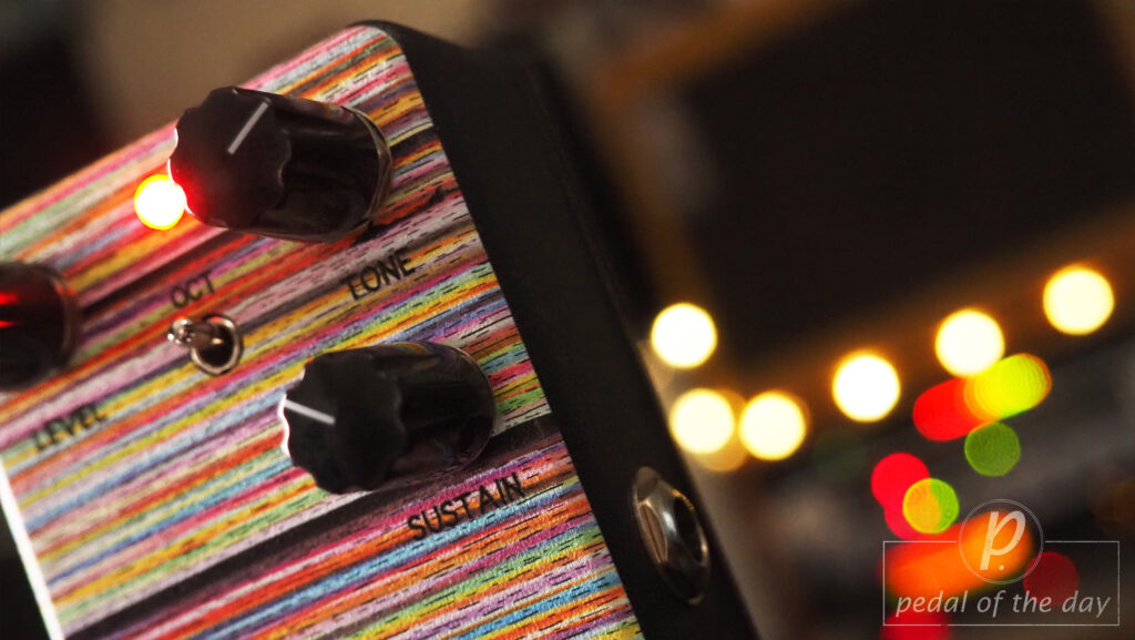 Animals Pedal In Oct,3 Foxes Talking of Dreamy Fuzz 3