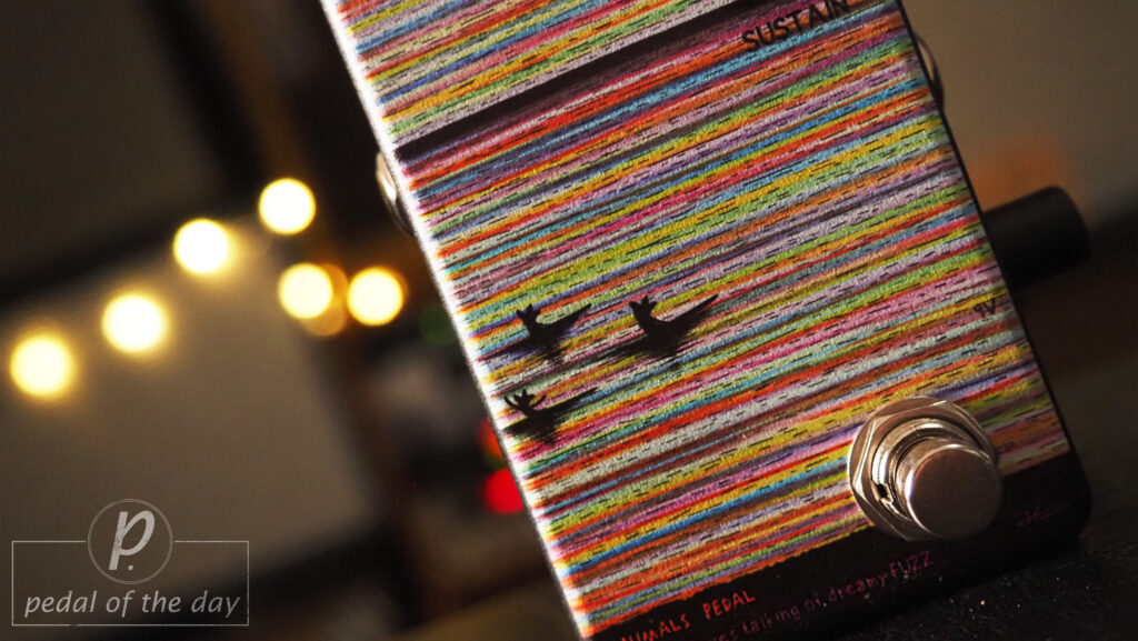 Animals Pedal In Oct,3 Foxes Talking of Dreamy Fuzz 5