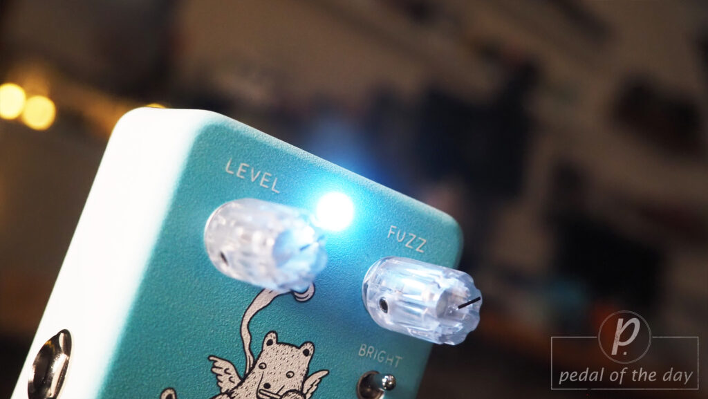 Animals Pedal / Skreddy Pedals Angel Bear Face Fuzz 2