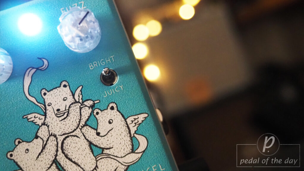 Animals Pedal / Skreddy Pedals Angel Bear Face Fuzz 3