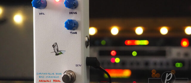 Animals Pedal Surfing Polar Bear Bass Overdrive