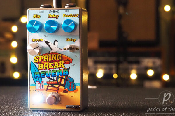 Summer School Electronics Spring Break Reverb