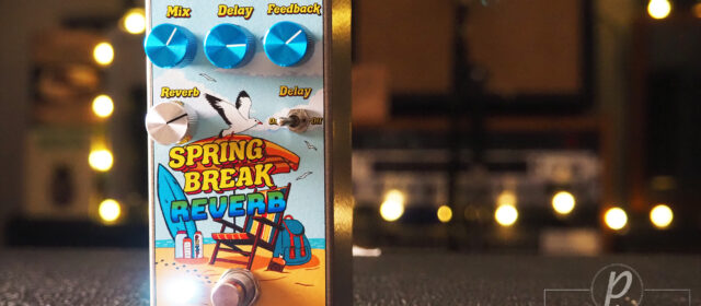 Summer School Electronics Spring Break Reverb