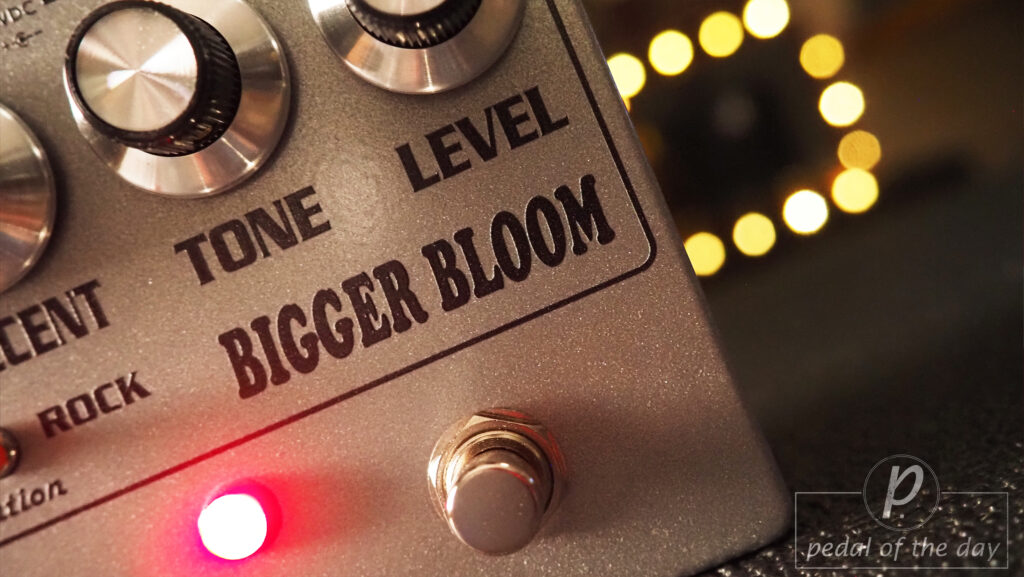 Amplified Nation Bigger Bloom Overdrive Preamp 3
