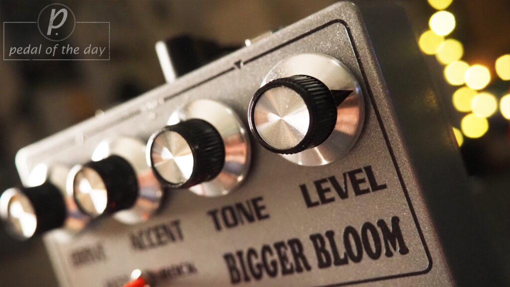 Amplified Nation Bigger Bloom Overdrive Preamp 5