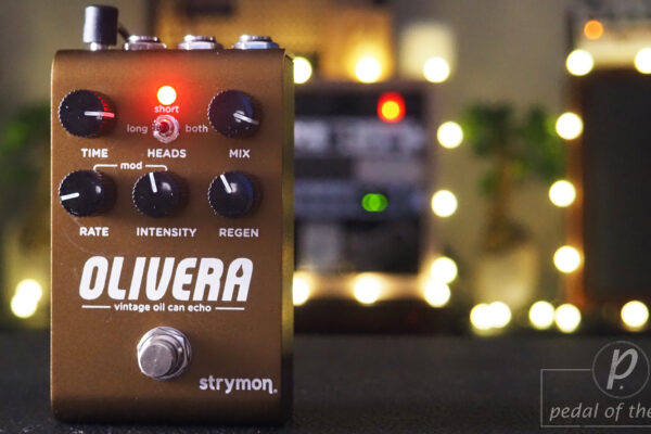 Strymon Olivera Vintage Oil Can Echo