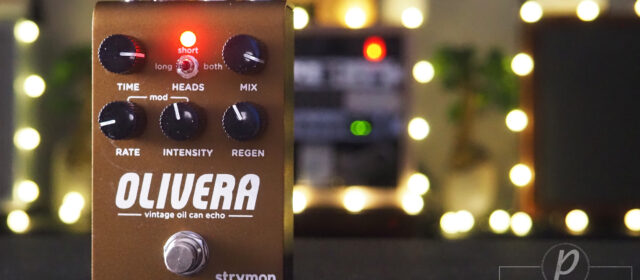 Strymon Olivera Vintage Oil Can Echo