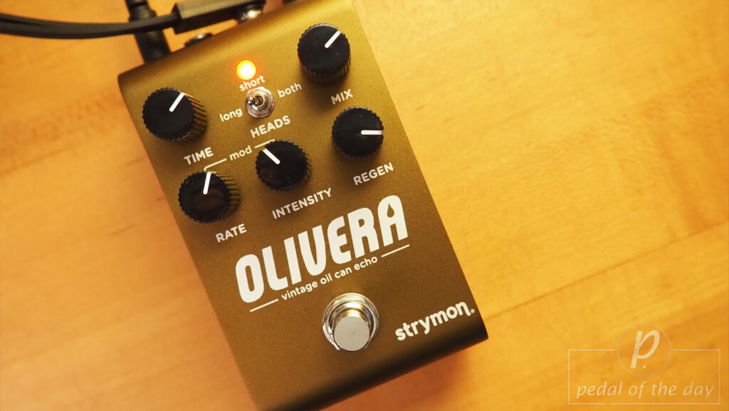 Strymon Olivera Vintage Oil Can Echo Delay 5