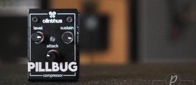 Olinthus Pillbug – World’s Smallest Compressor