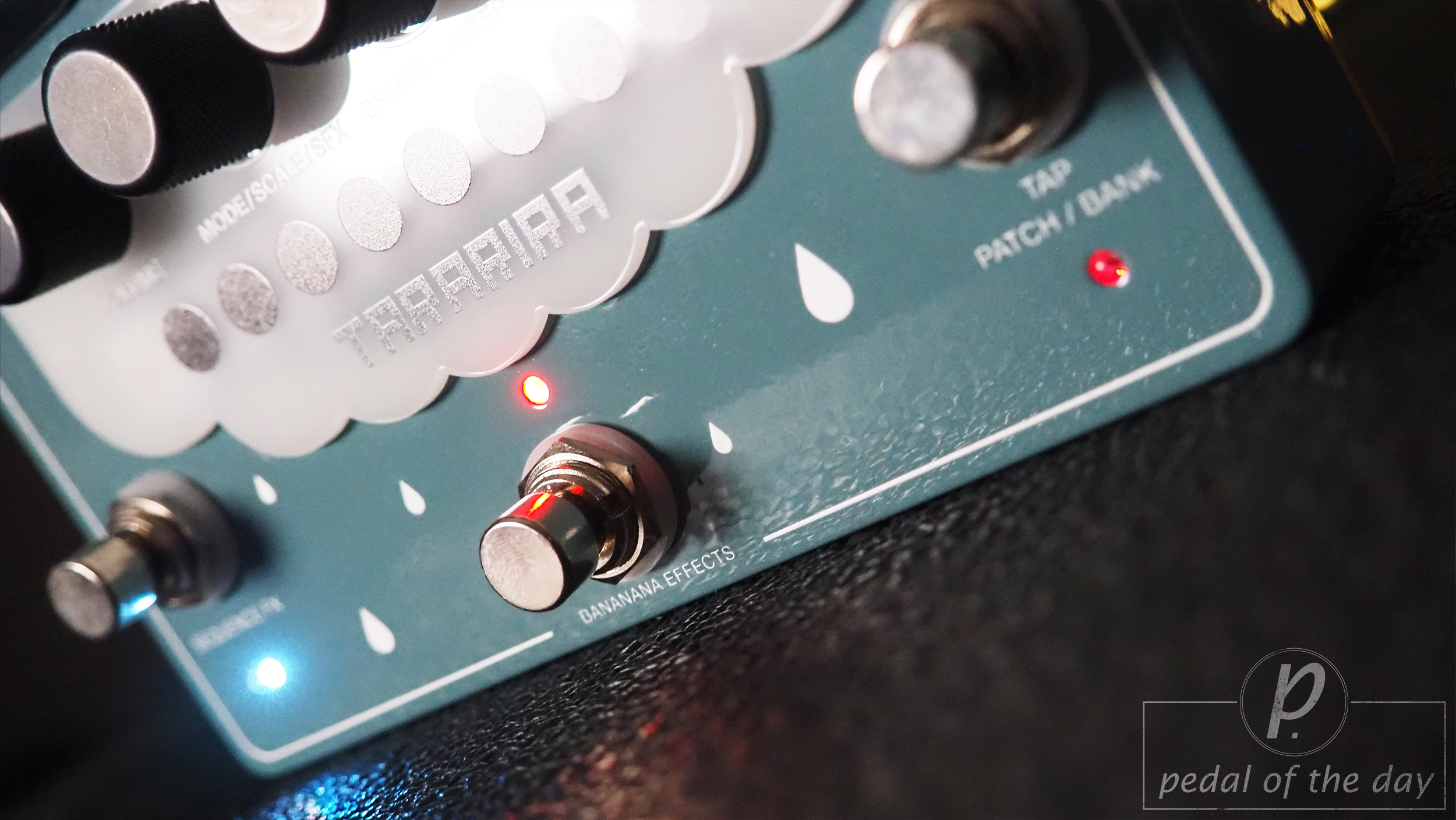 Bananana Effects TARARIRA Arpeggiator Pitch Shifter Sequencer