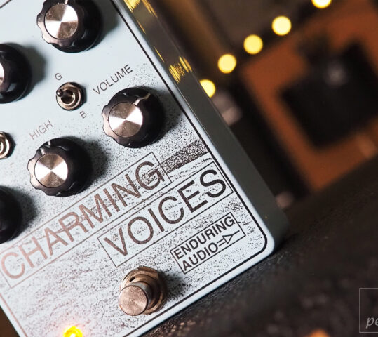 Enduring Audio Charming Voices Analog Chorus