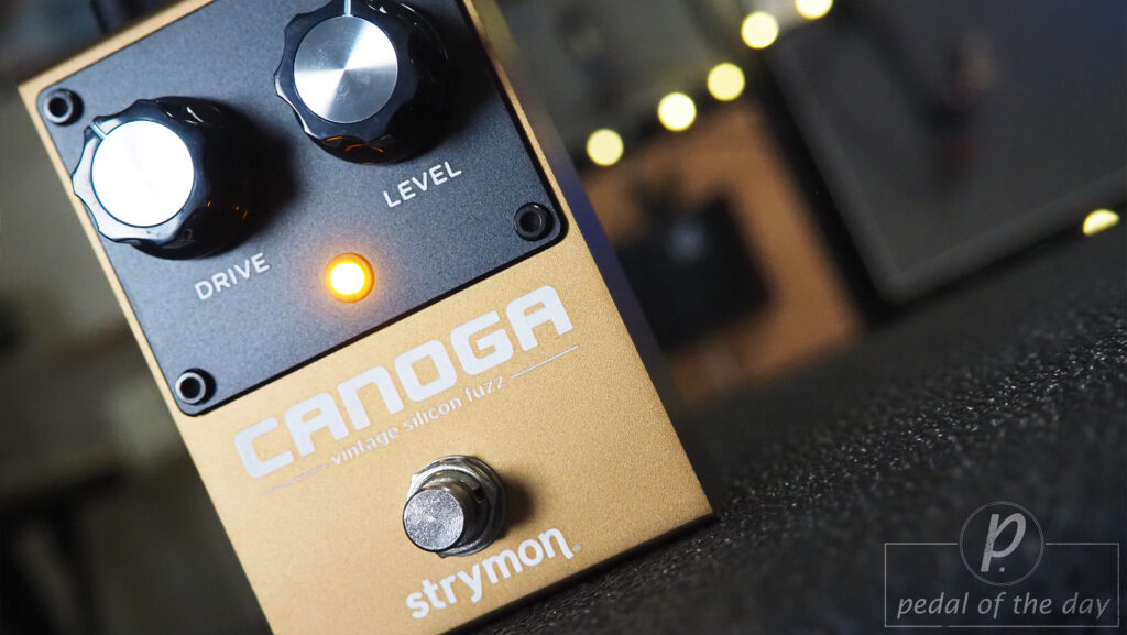 Strymon Canoga Vintage Silicon Fuzz 1