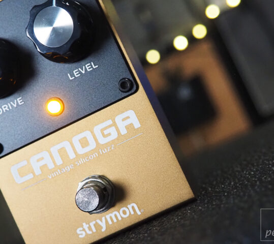 Strymon Canoga Vintage Silicon Fuzz