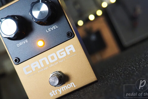 Strymon Canoga Vintage Silicon Fuzz