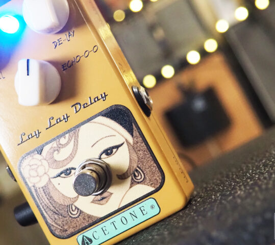 AceTone Electronics LLD-01 Lay Lay Delay Organic Tape Echo