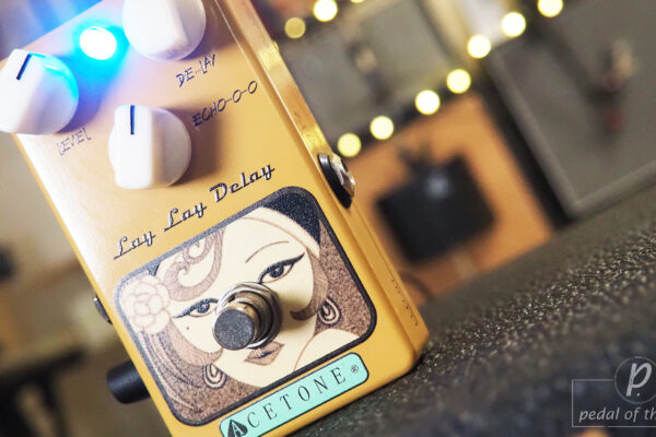 AceTone Electronics LLD-01 Lay Lay Delay Organic Tape Echo